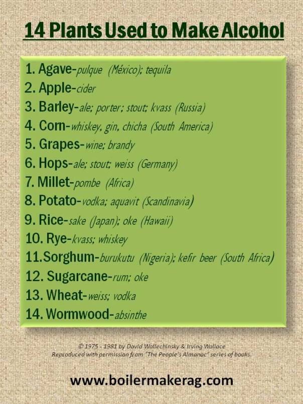 14 plants used to make alcohol