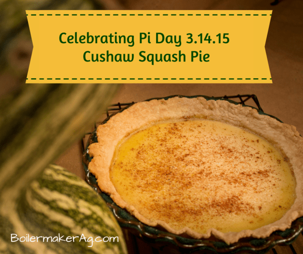 BoilermakerAg.com_CushawSquashPie